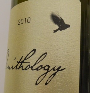 ornithology 001