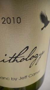 ornithology 003
