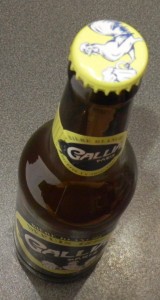 GALLIA 004